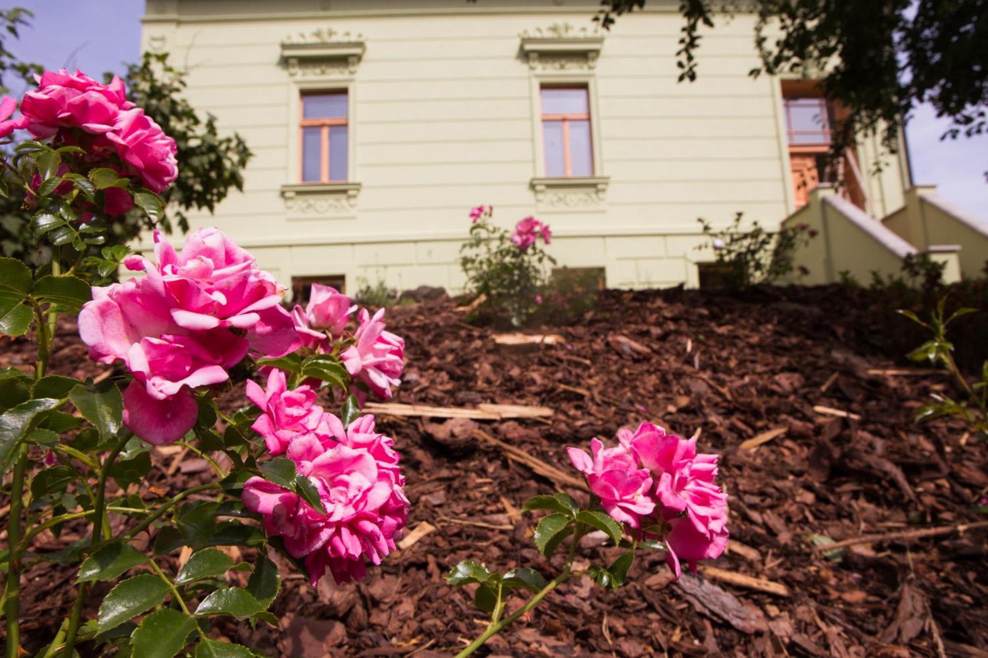 Ubytovani U Vladare Velhartice Exterior photo